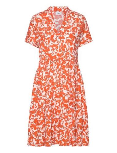 Edasz Ss Dress Knelang Kjole Orange Saint Tropez