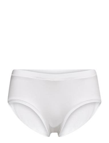 Jbs Of Dk Maxi Cotton Lingerie Panties High Waisted Panties White JBS ...