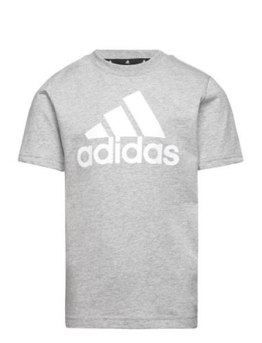 U Bl Tee Sport T-shirts Short-sleeved Grey Adidas Sportswear