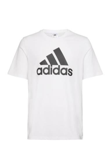 Essentials Single Jersey Big Logo T-Shirt Sport T-shirts Short-sleeved...