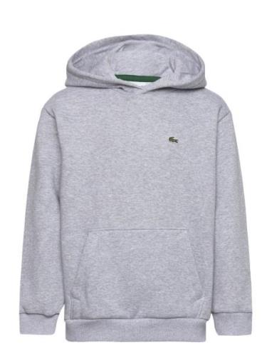 Sweatshirts Sport Sweat-shirts & Hoodies Hoodies Grey Lacoste