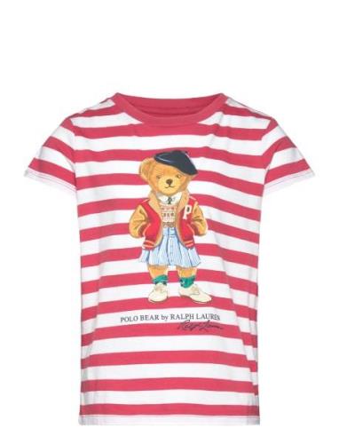 Striped Polo Bear Cotton Jersey Tee Tops T-shirts Short-sleeved Red Ra...