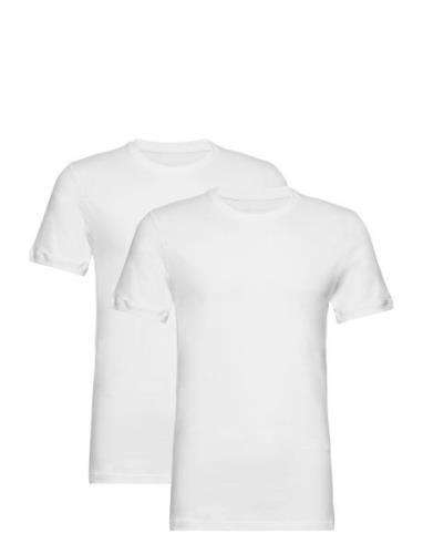 Heimdall Designers T-shirts Short-sleeved White Tiger Of Sweden