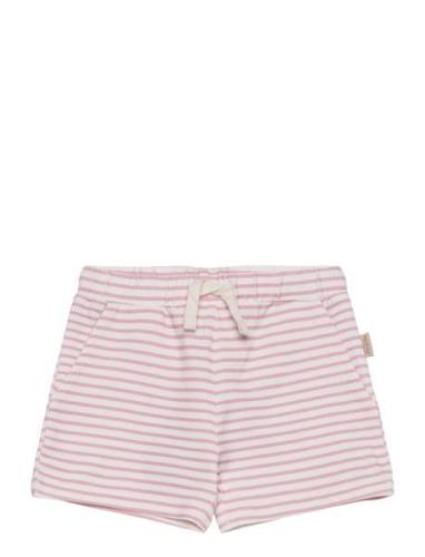 Shorts Sum Printed Bottoms Shorts Pink Petit Piao