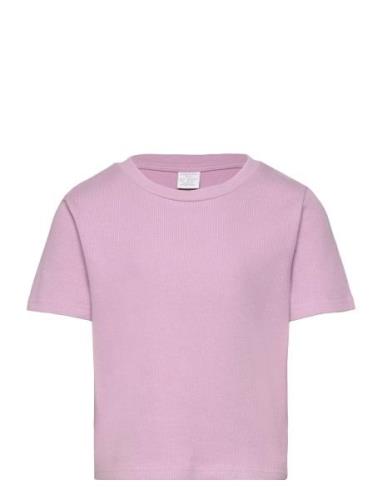 Top Rosie Basic Tops T-shirts Short-sleeved Purple Lindex
