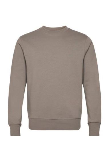 Lightweight Cotton Sweatshirt Tops Sweat-shirts & Hoodies Sweat-shirts...