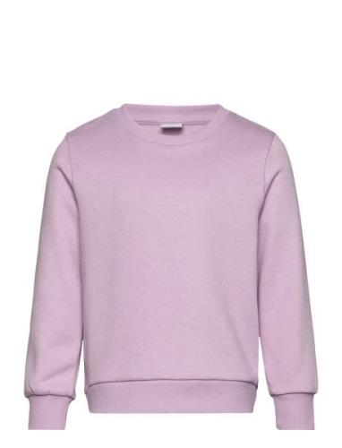 Sweatshirt Basic Tops Sweat-shirts & Hoodies Sweat-shirts Purple Linde...