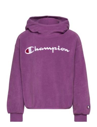 Hooded Sweatshirt Sport Sweat-shirts & Hoodies Hoodies Purple Champion