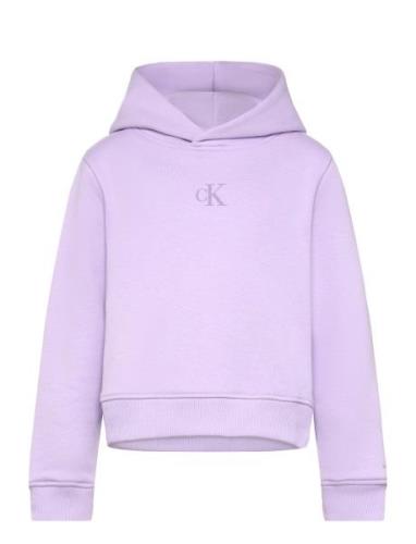 Ck Logo Boxy Hoodie Tops Sweat-shirts & Hoodies Hoodies Purple Calvin ...