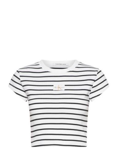 Woven Label Rib Baby Tee Tops T-shirts & Tops Short-sleeved Multi/patt...