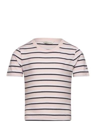 Striped T-Shirt Tops T-shirts Short-sleeved Pink GANT