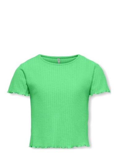 Kognella S/S O-Neck Top Noos Jrs Tops T-shirts Short-sleeved Green Kid...