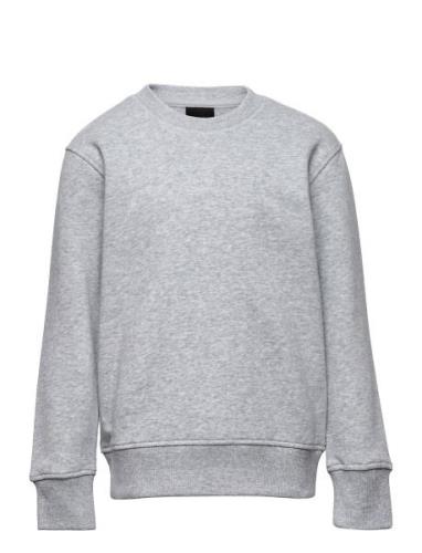 Decoy Girls Sweatshirt Tops Sweat-shirts & Hoodies Sweat-shirts Grey D...