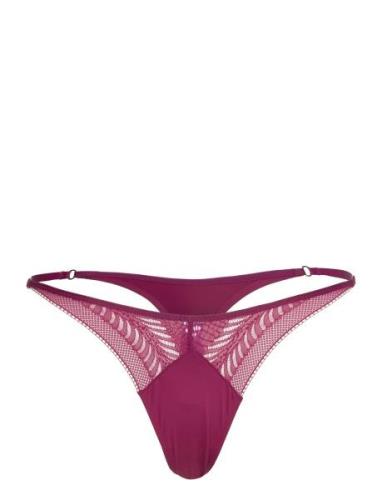 Thong Stringtruse Undertøy Purple Calvin Klein