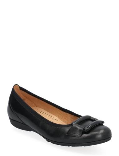 Ballerina Ballerinasko Ballerinaer Black Gabor