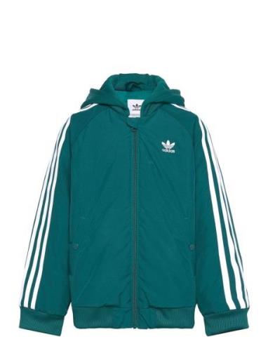 Bomber Jacket Tops Sweat-shirts & Hoodies Hoodies Green Adidas Origina...