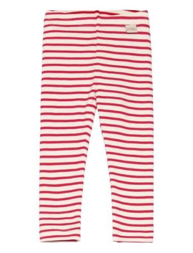 Legging Modal Striped Bottoms Leggings Red Petit Piao