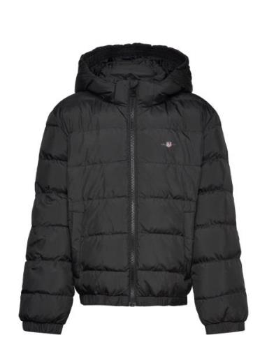 Shield Padded Jacket Fôret Jakke Black GANT