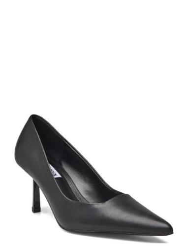 Vivion Pump Shoes Heels Pumps Classic Black Steve Madden