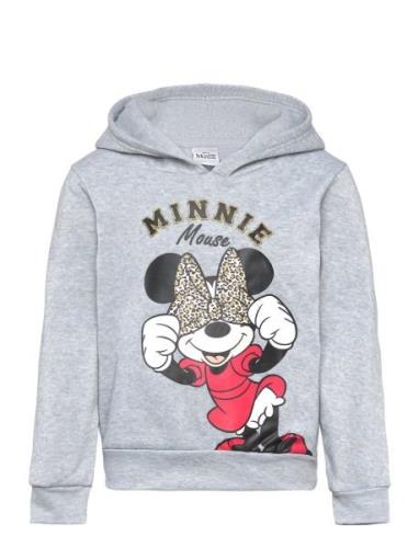 Sweats Tops Sweat-shirts & Hoodies Hoodies Grey Minnie Mouse