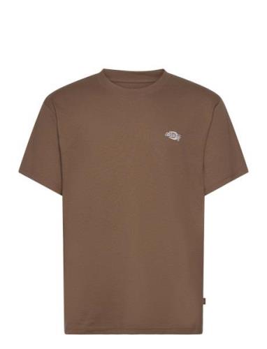 Summerdale Ss Tee Designers T-shirts Short-sleeved Brown Dickies