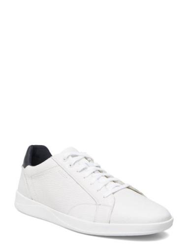 U Kennet A Lave Sneakers White GEOX