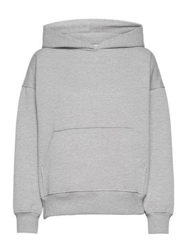 Rubigz Hoodie Tops Sweat-shirts & Hoodies Hoodies Grey Gestuz