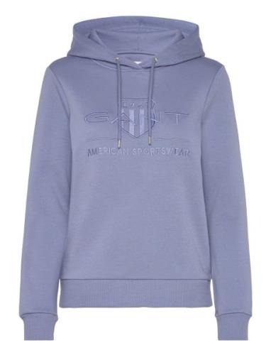 Tonal Archive Shield Hoodie Tops Sweat-shirts & Hoodies Hoodies Blue G...