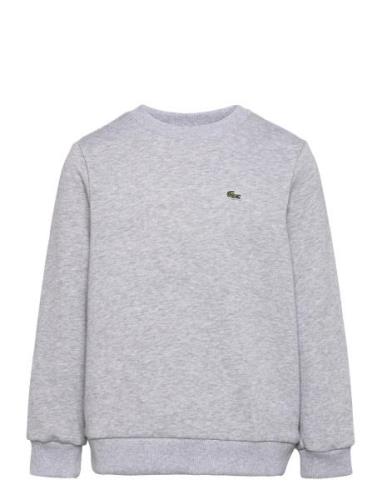 Sweatshirts Sport Sweat-shirts & Hoodies Sweat-shirts Grey Lacoste