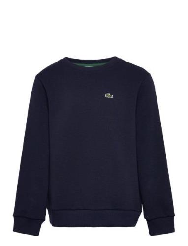 Sweatshirts Sport Sweat-shirts & Hoodies Sweat-shirts Navy Lacoste