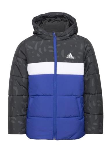 Jb Cb Pad Jkt Sport Jackets & Coats Puffer & Padded Black Adidas Sport...