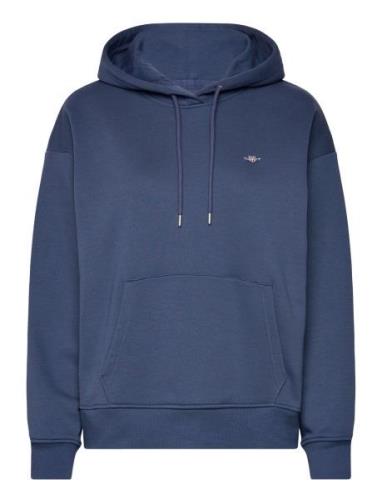 Rel Shield Hoodie Tops Sweat-shirts & Hoodies Hoodies Blue GANT