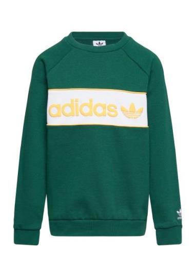 Crew Sport Sweat-shirts & Hoodies Sweat-shirts Green Adidas Originals