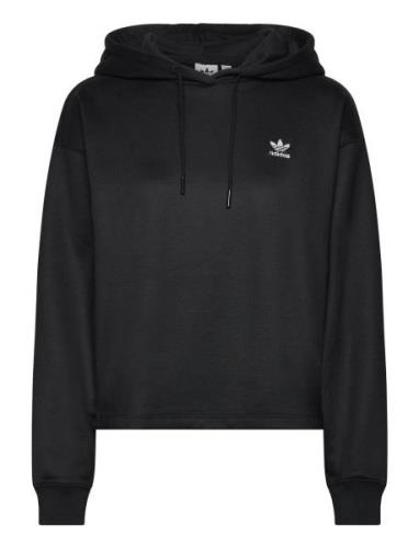 Trefoil Hoodiec Sport Sweat-shirts & Hoodies Hoodies Black Adidas Orig...