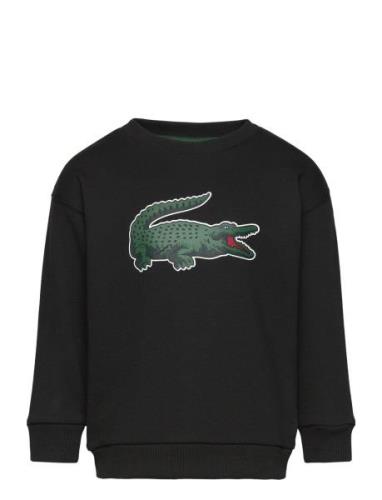 Sweatshirts Sport Sweat-shirts & Hoodies Sweat-shirts Black Lacoste