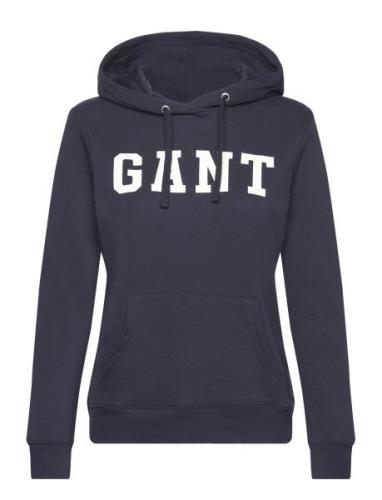 Reg Graphic Hoodie Tops Sweat-shirts & Hoodies Hoodies Blue GANT