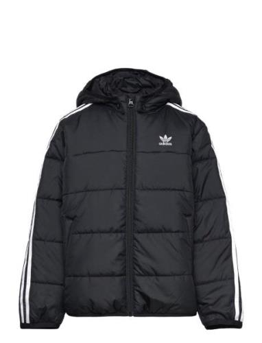 Padded Jacket Sport Jackets & Coats Puffer & Padded Black Adidas Origi...