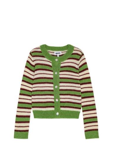 Geraldine Tops Knitwear Cardigans Green Molo