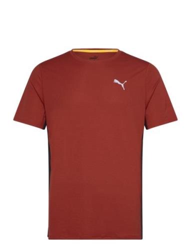 Run Favorite Velocity Tee Sport T-shirts Short-sleeved Burgundy PUMA