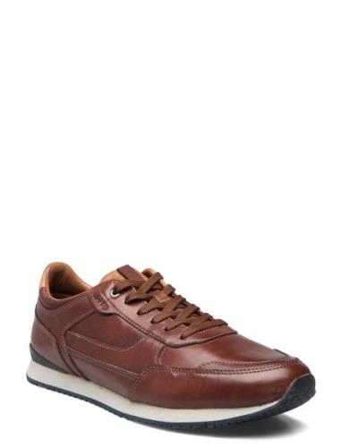 Editta Lave Sneakers Brown Lloyd