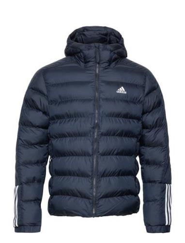 Itavic 3S Midweight Hooded Jacket Fôret Jakke Blue Adidas Sportswear