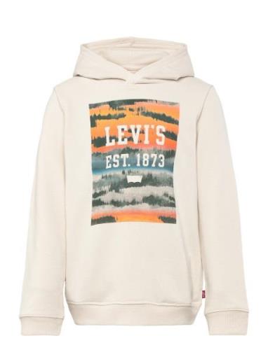 Lvb Landscape Box Hoodie / Lvb Landscape Box Hoodie Tops Sweat-shirts ...