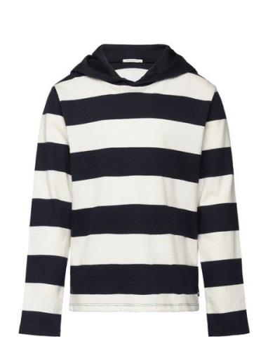 Striped Hooded Longsleeve Tops Sweat-shirts & Hoodies Hoodies Navy Tom...