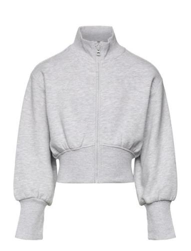 Cropped Sweat Jacket Tops Sweat-shirts & Hoodies Sweat-shirts Grey Tom...