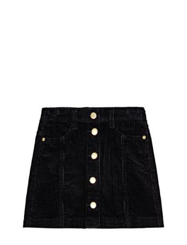 Bera Dresses & Skirts Skirts Short Skirts Black Molo