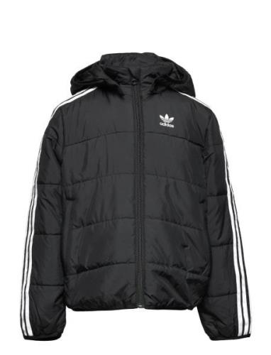 Padded Jacket Sport Jackets & Coats Puffer & Padded Black Adidas Origi...