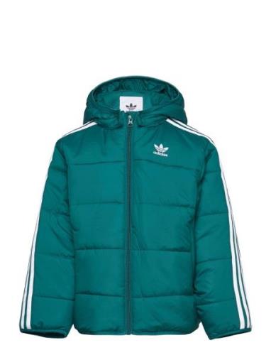 Padded Jacket Fôret Jakke Green Adidas Originals