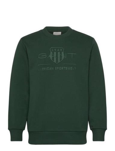 Reg Tonal Shield C-Neck Sweat Tops Sweat-shirts & Hoodies Sweat-shirts...