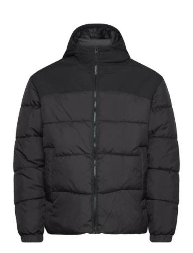 Jjmoon Hood Puffer Fôret Jakke Black Jack & J S