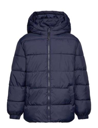 Hood Quilted Coat Fôret Jakke Navy Mango